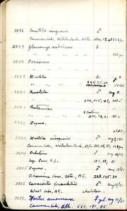 file details