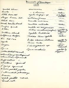 file details