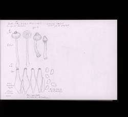 file details