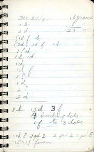 file details