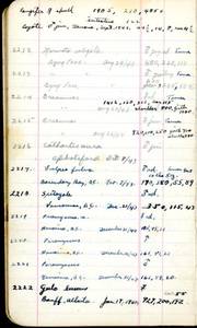 file details