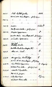 file details