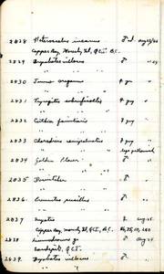 file details