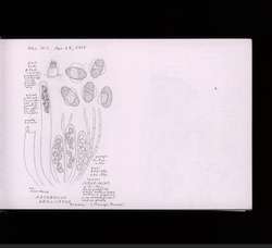file details