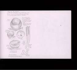 file details