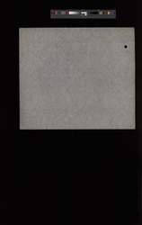 file details