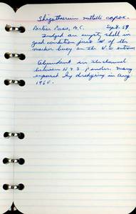 file details