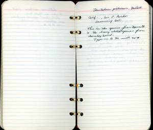 file details