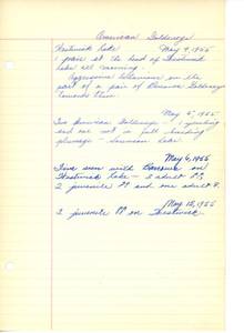 file details