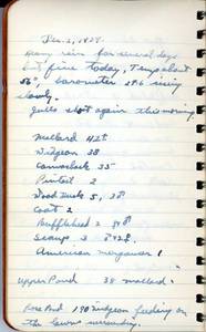 file details
