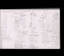 file details