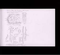 file details