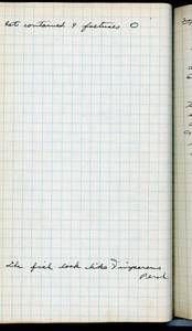 file details