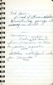 file details