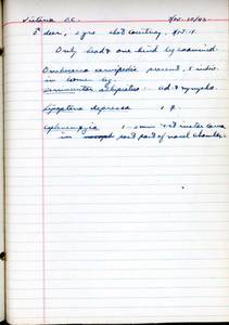 file details