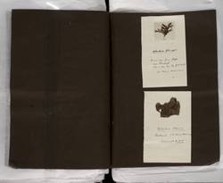 file details