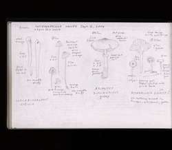 file details