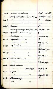 file details