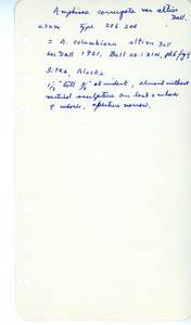 file details