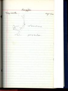 file details