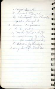 file details