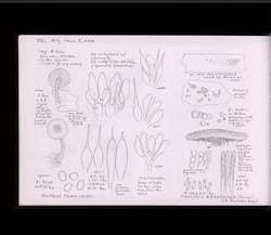 file details