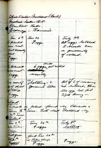 file details