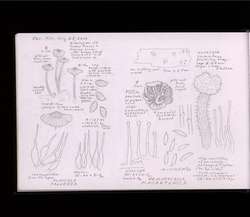 file details