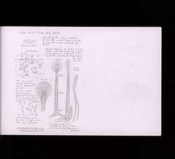 file details