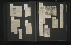 file details