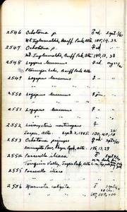 file details