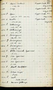 file details