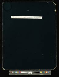 file details