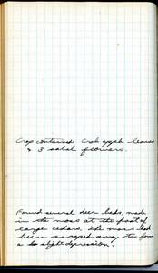 file details