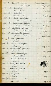 file details