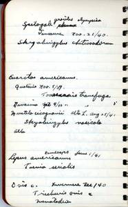 file details