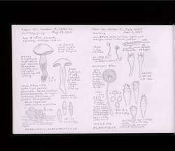 file details
