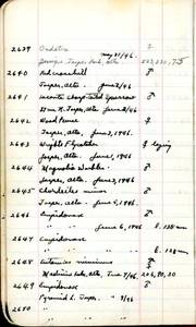 file details