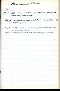 file details