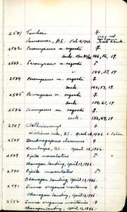file details