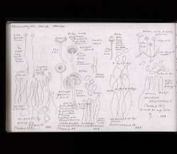 file details
