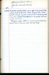 file details