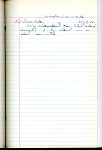 file details