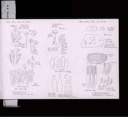 file details