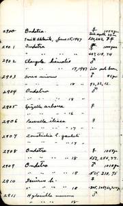 file details