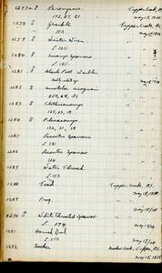 file details