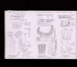 file details