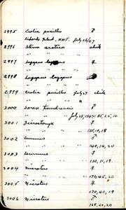 file details
