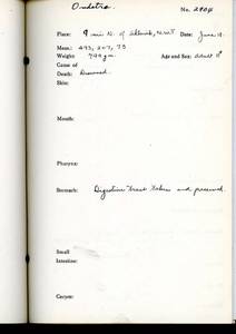 file details