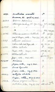 file details